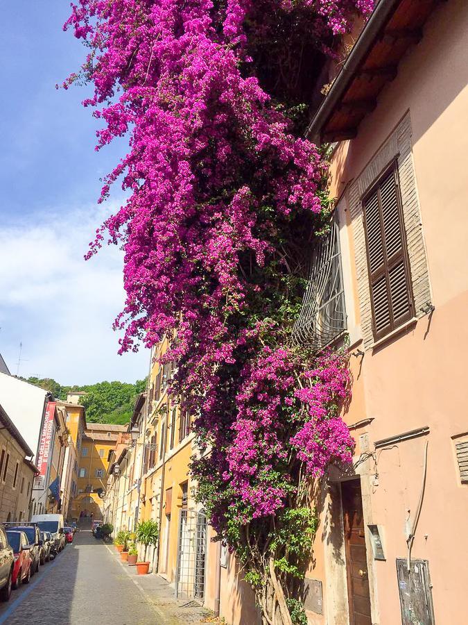Lägenhet Good Morning Trastevere Rom